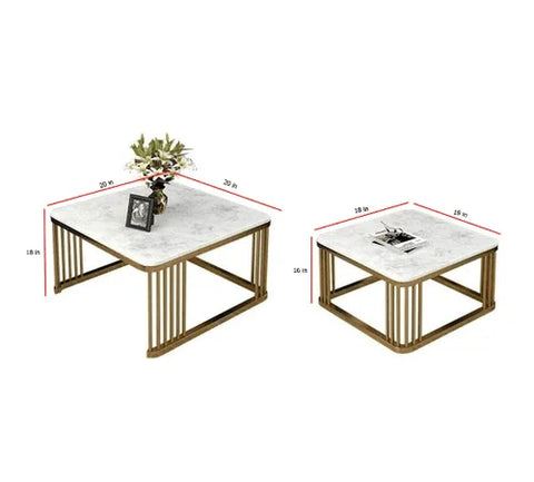 Barack Square Nesting Coffee Table Set of 2